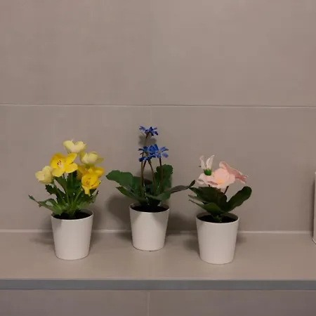 Apartamento Nimma Nimega