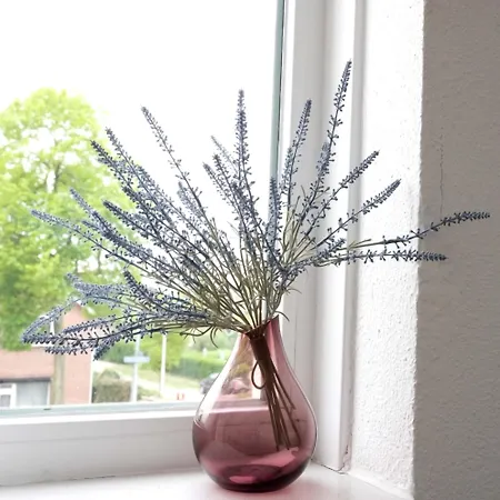 Appartement Nimma